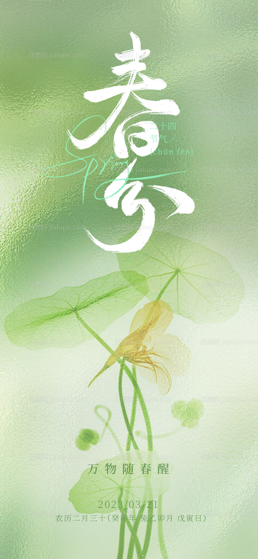 春分节气海报-源文件