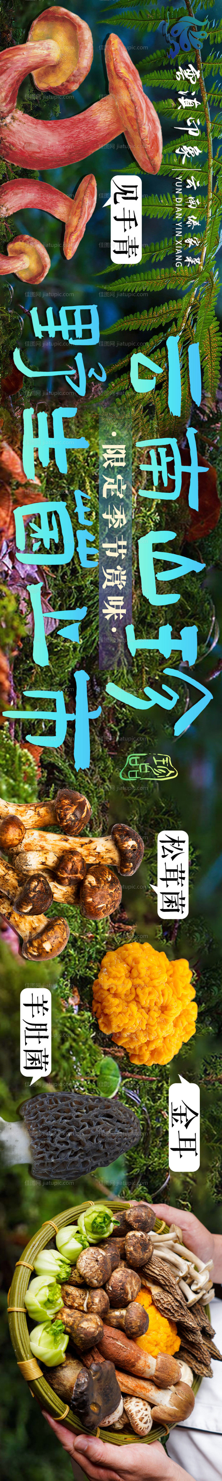 点评云南菜五连图-源文件