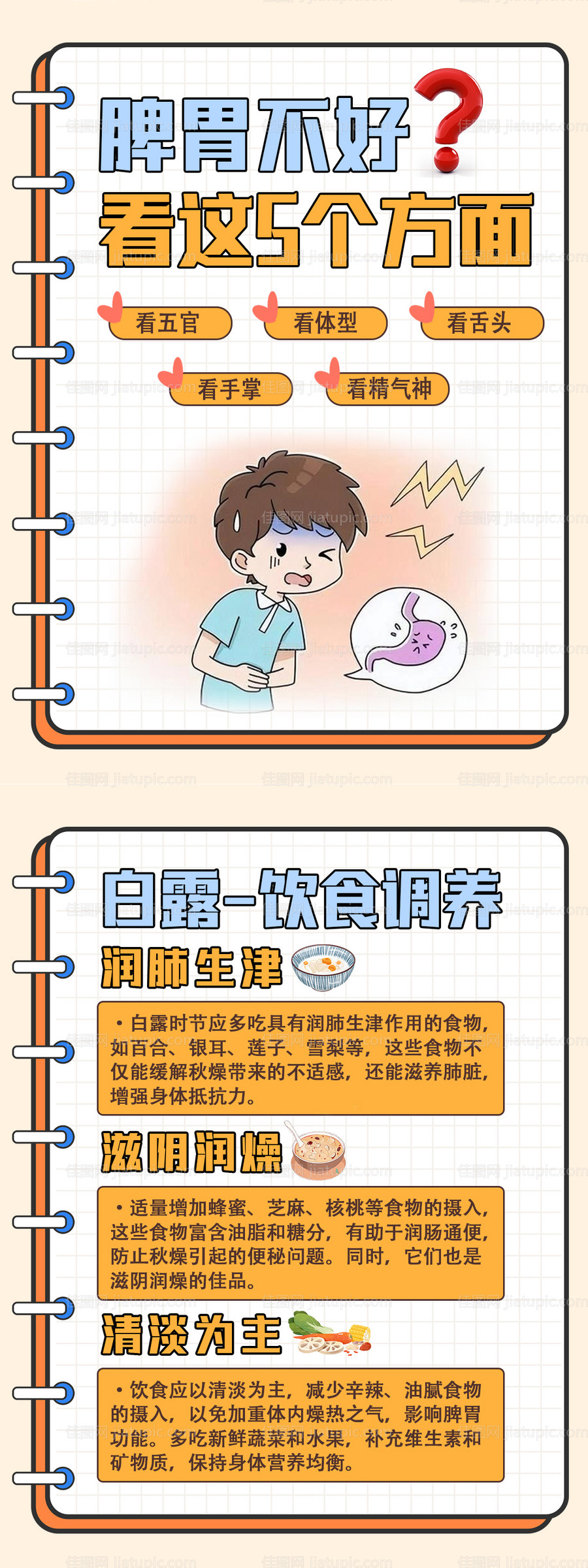 小红书科普养护海报-源文件