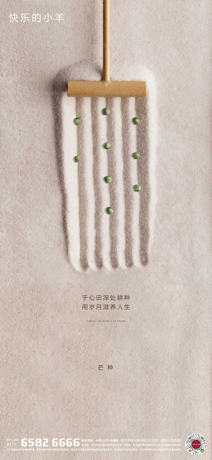 芒种节气海报-源文件