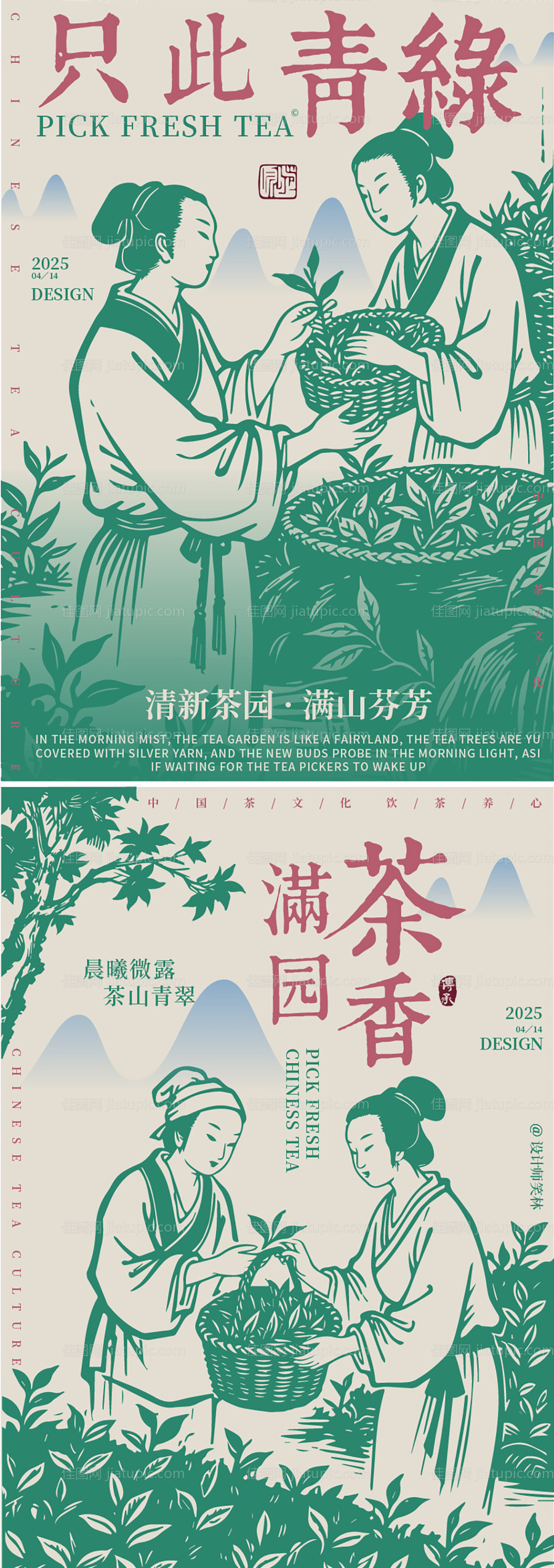 茶叶品牌插画海报 -源文件