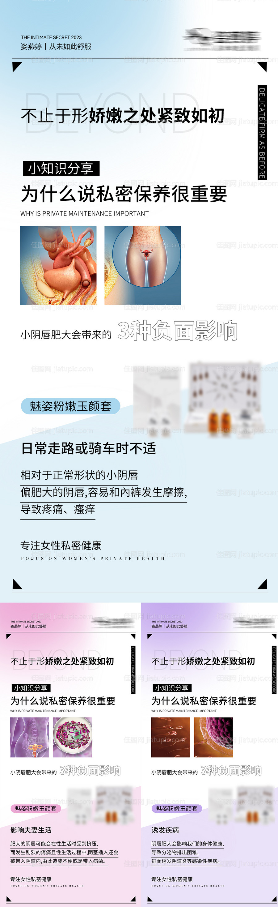 女性私护系列海报-源文件