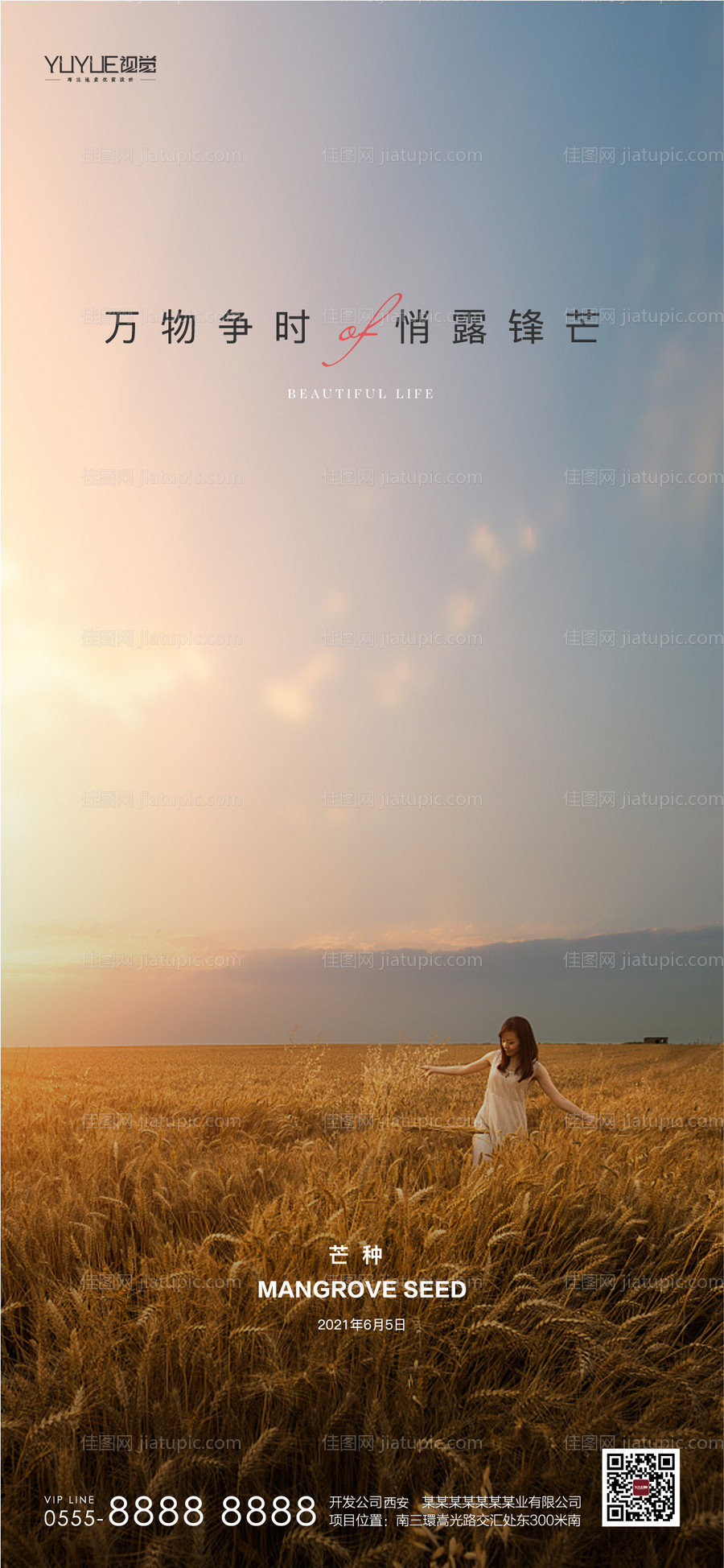 芒种节气-源文件