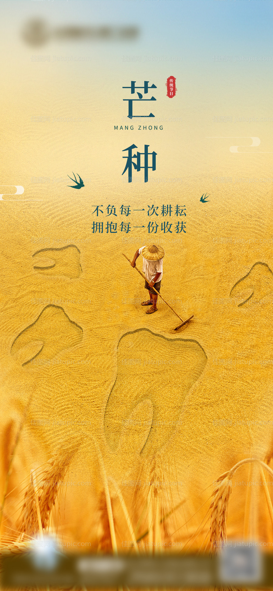 医美口腔节气芒种-源文件