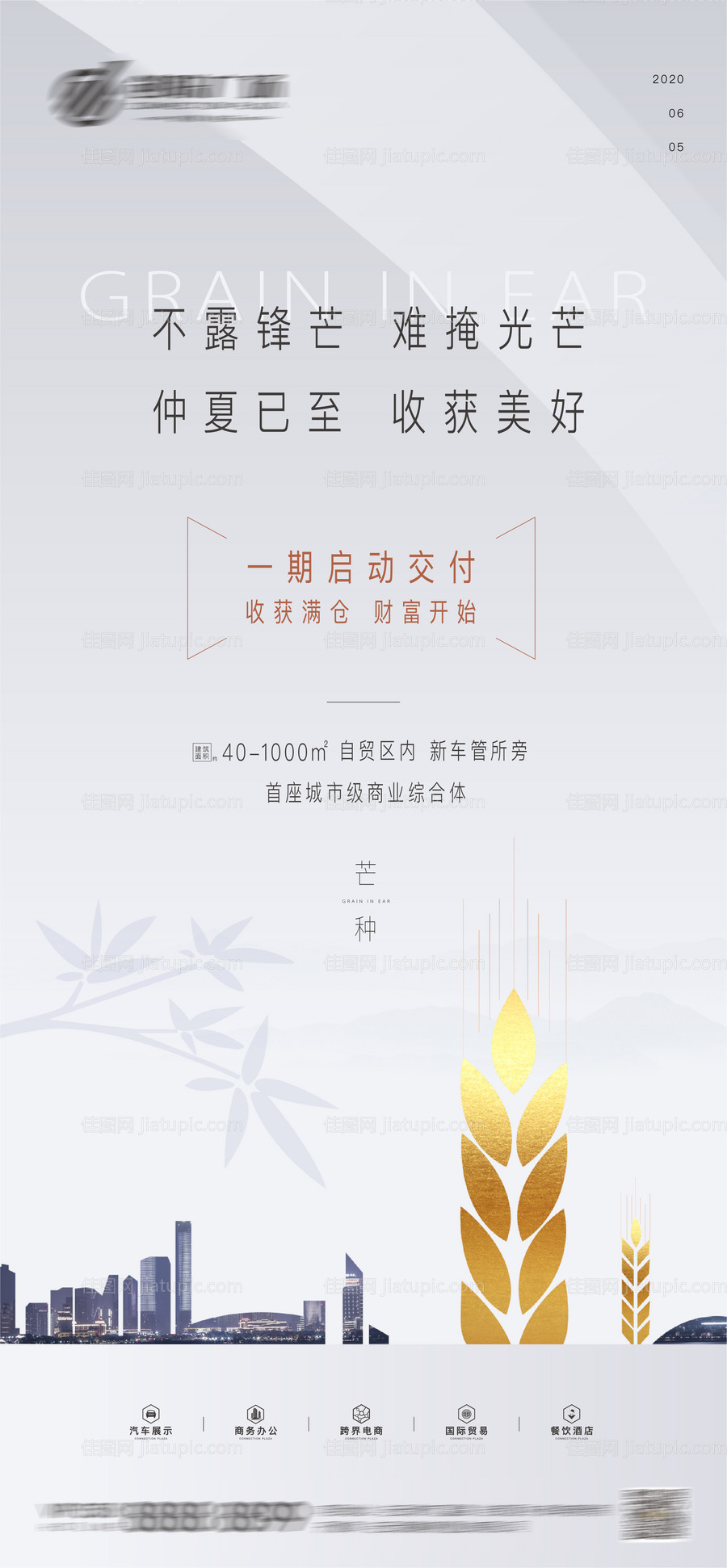 芒种节气海报-源文件