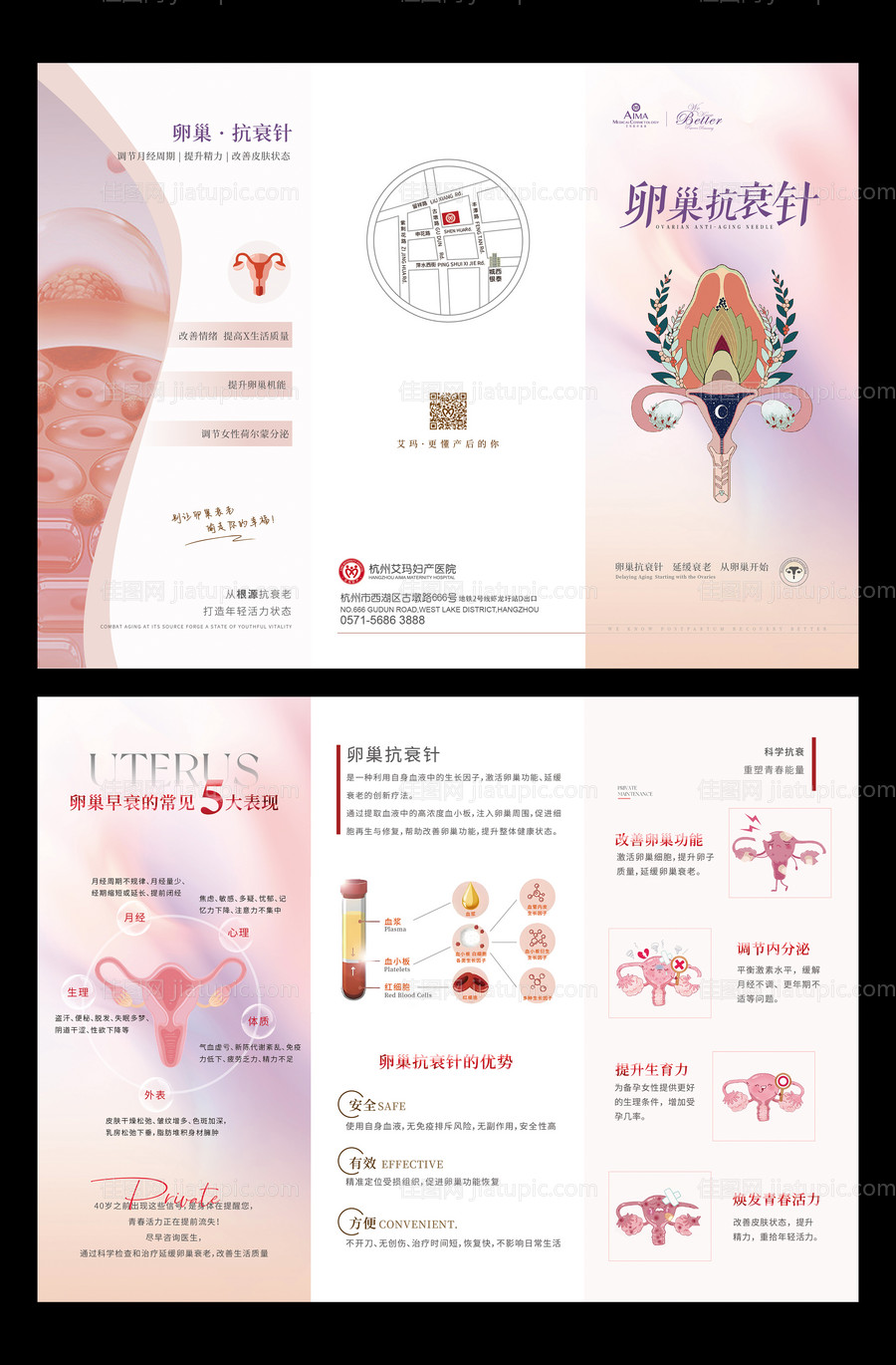 卵巢抗衰针手绘私密图-源文件