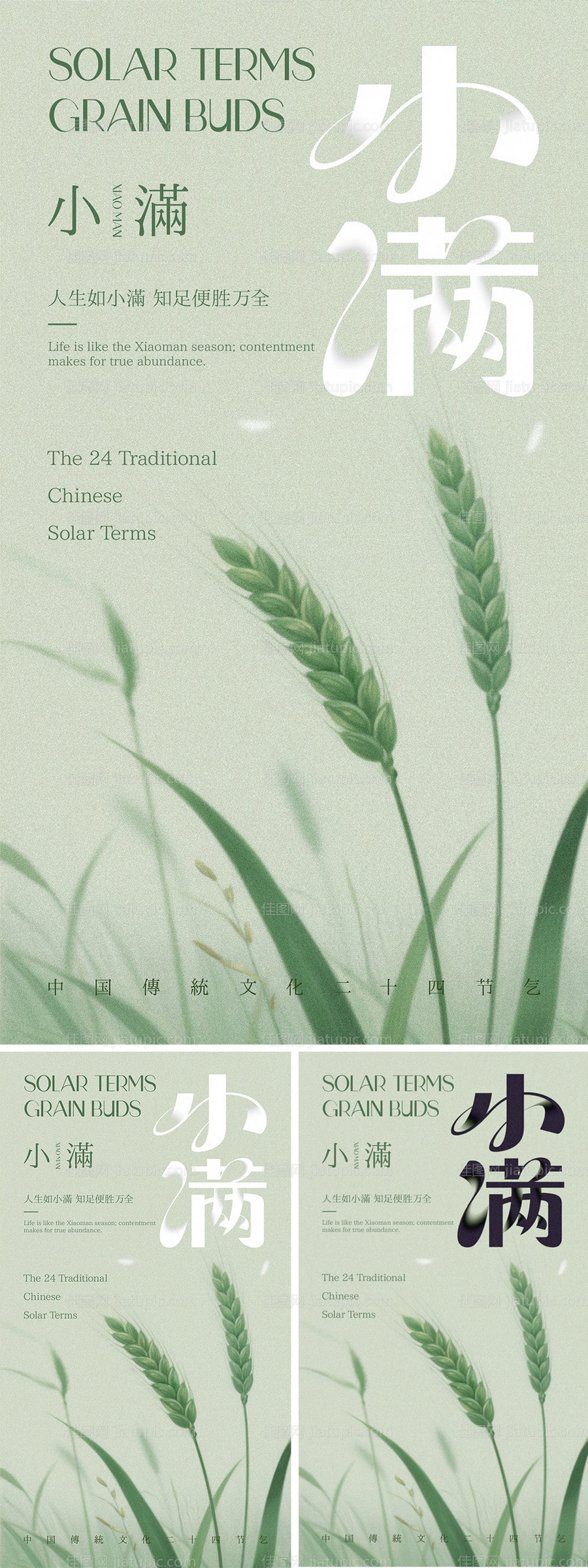 小满节气海报-源文件