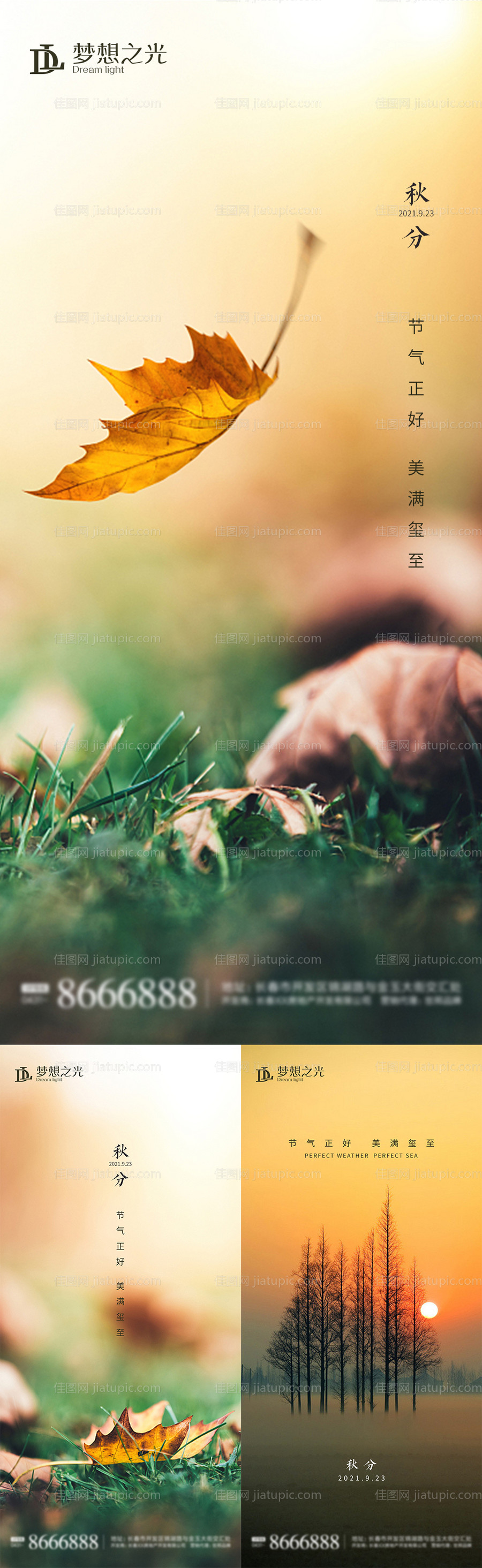 秋分节气系列海报-源文件
