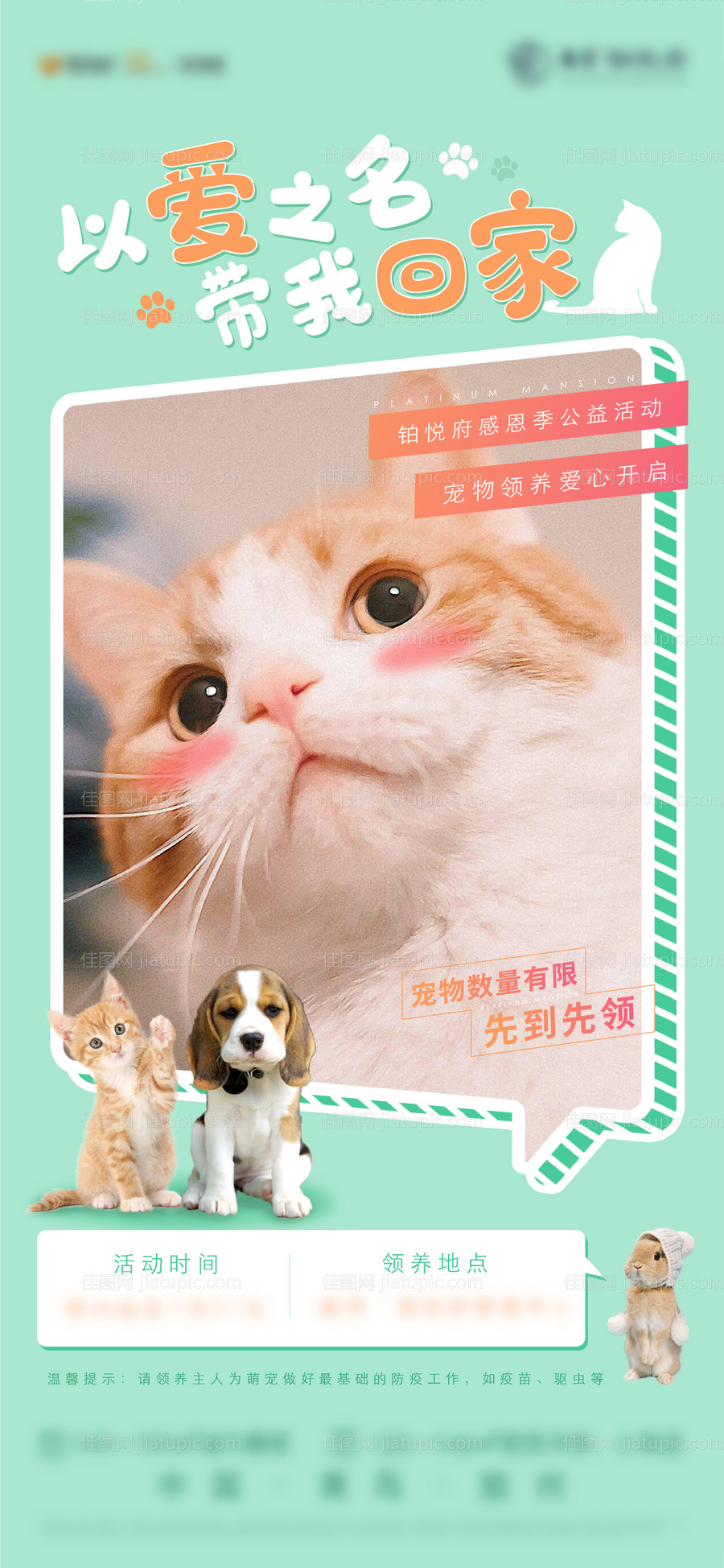 宠物活动-源文件