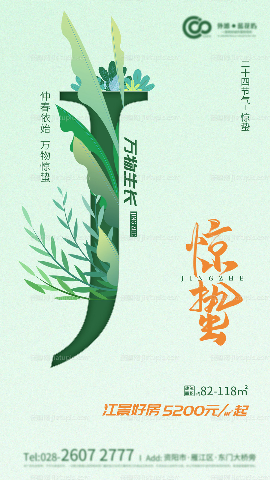 惊蛰植物插画地产海报-源文件