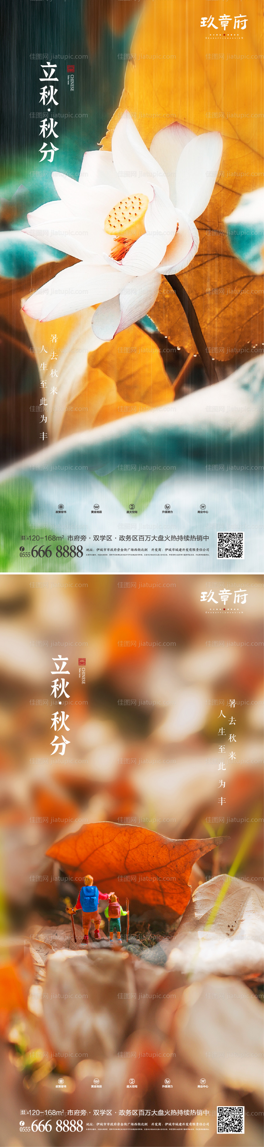 立秋秋分荷花树叶海报-源文件