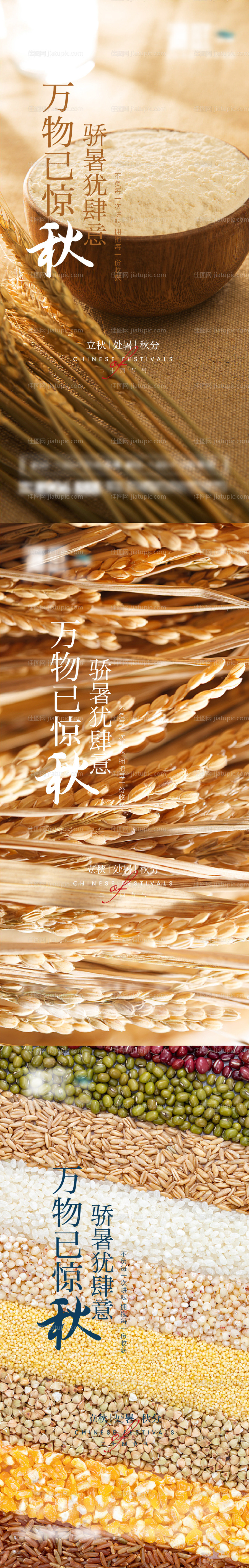 立秋处暑秋分系列海报-源文件