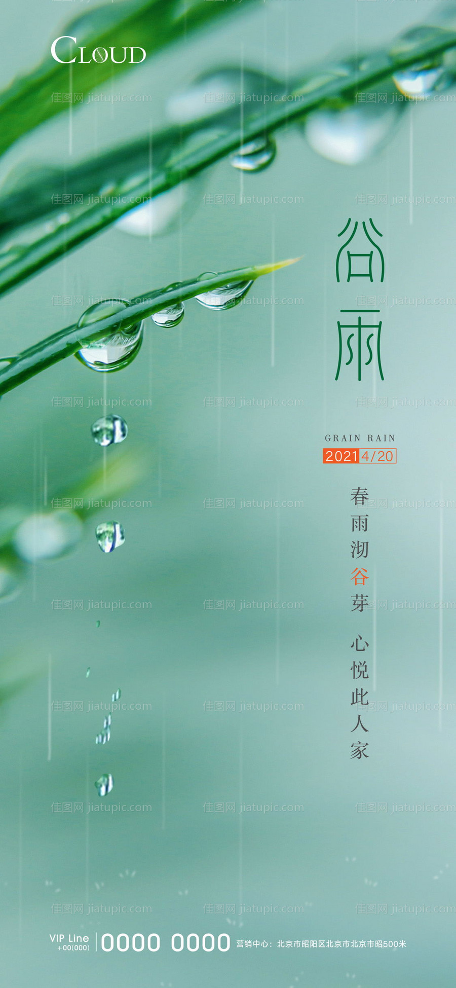 谷雨节气刷屏海报-源文件