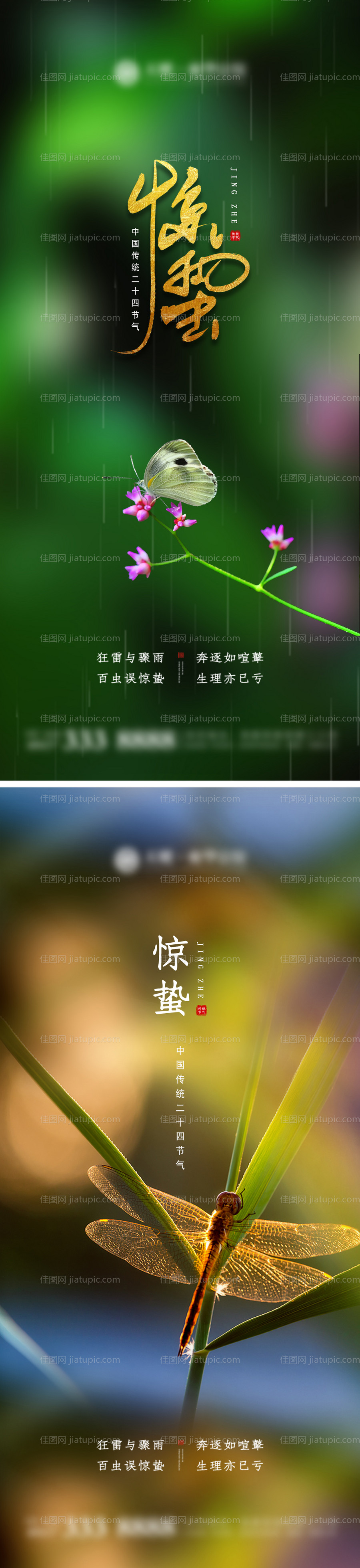 地产惊蛰微信节气海报-源文件