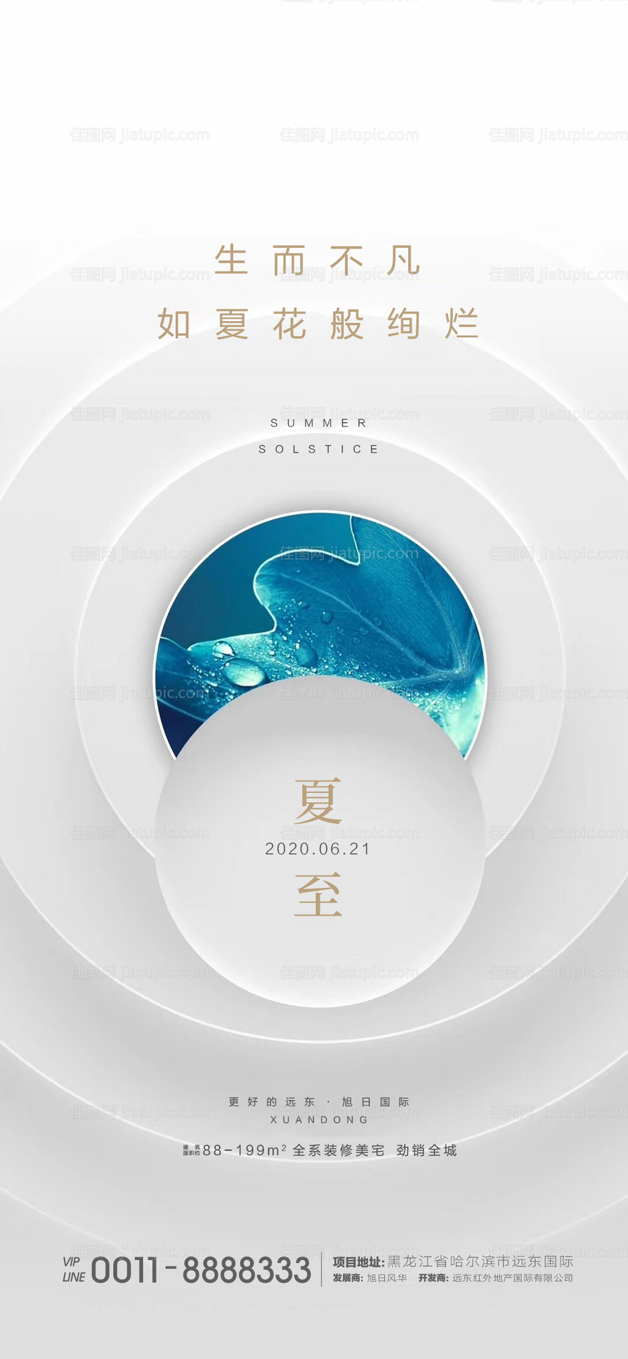 夏至海报-源文件