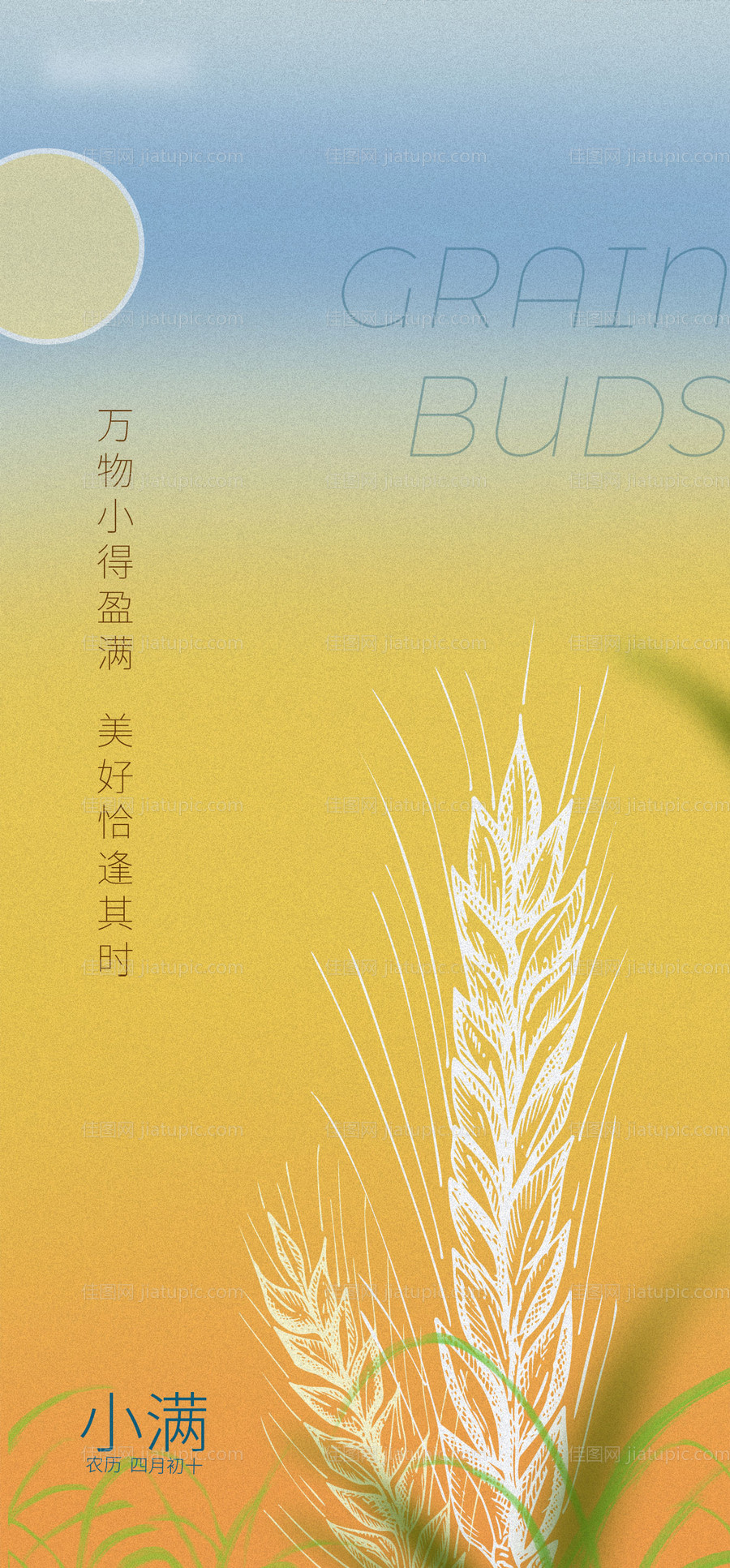 小满创意节气海报-源文件