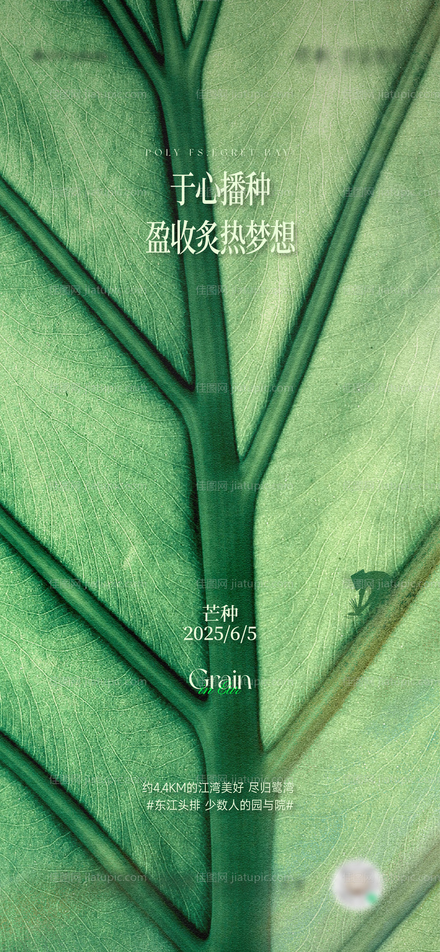 芒种地产海报-源文件