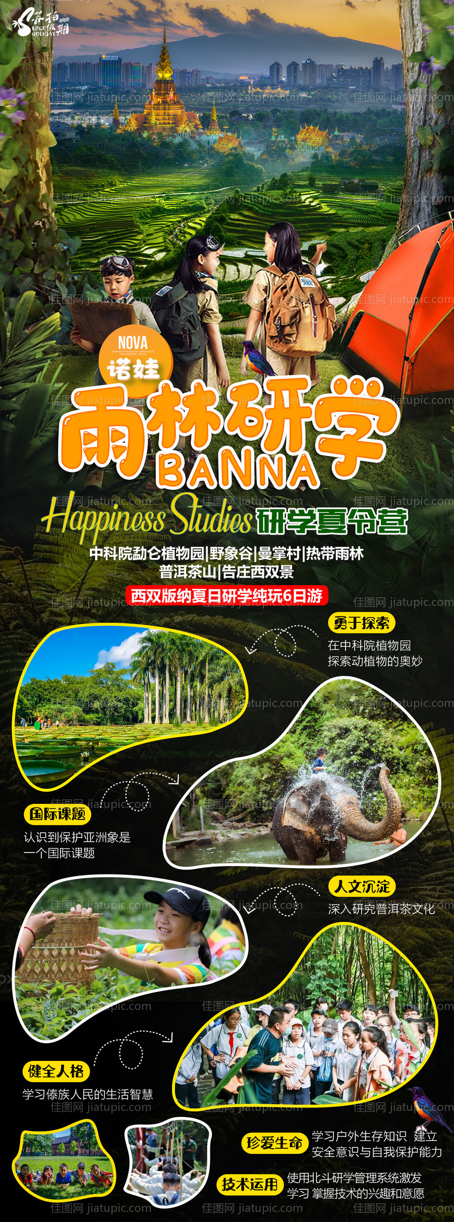雨林研学夏令营旅游海报-源文件