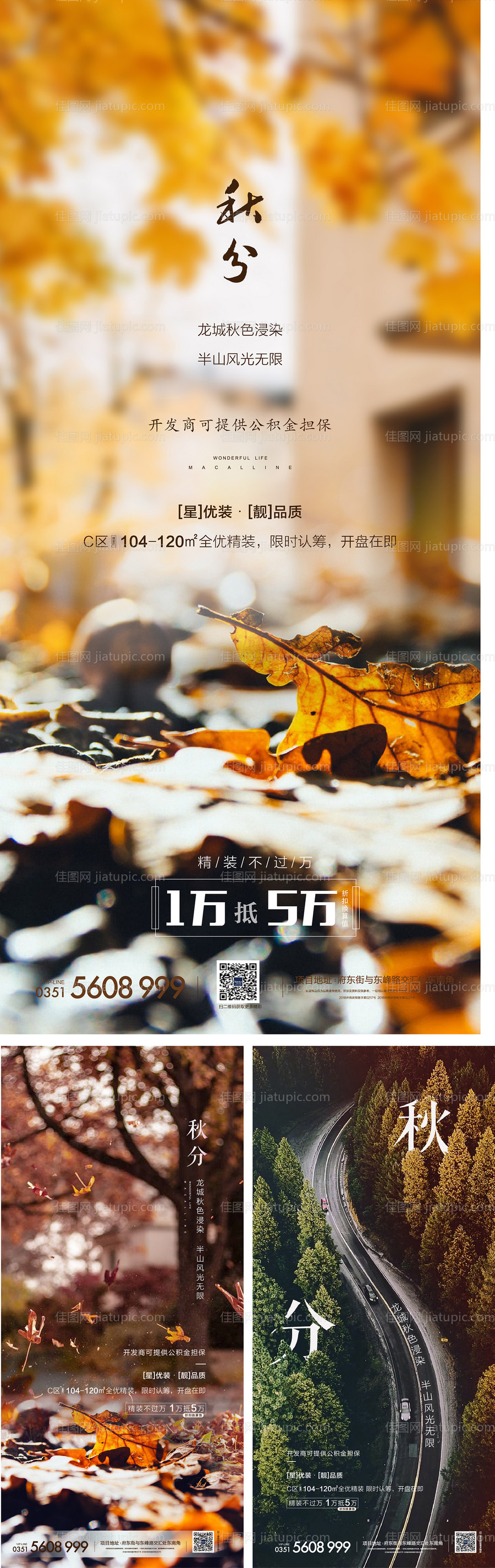 秋分系列节气移动端海报-源文件