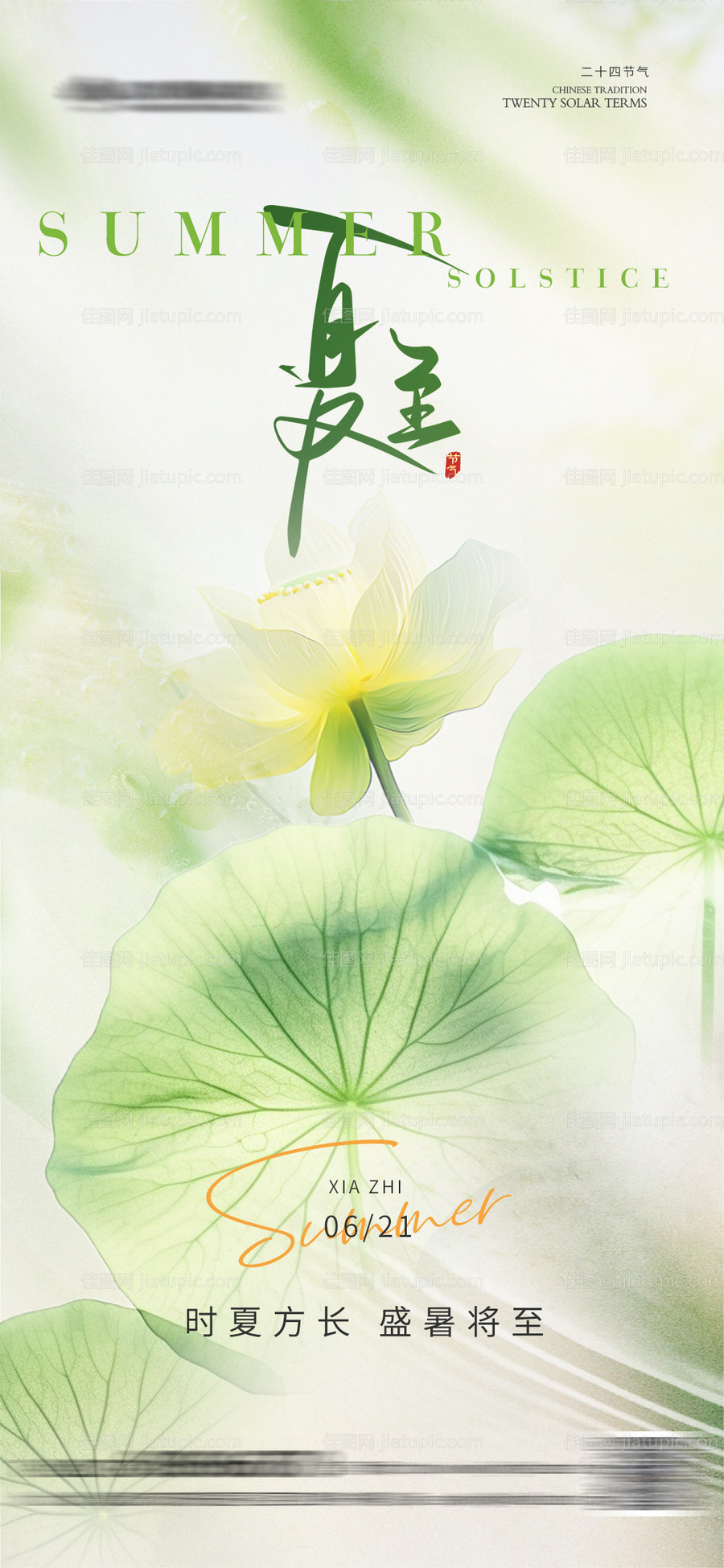 夏至节气海报-源文件