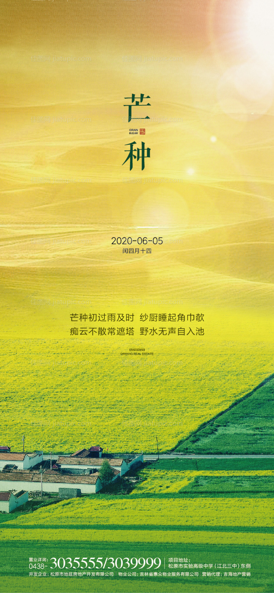 芒种节气微信海报-源文件