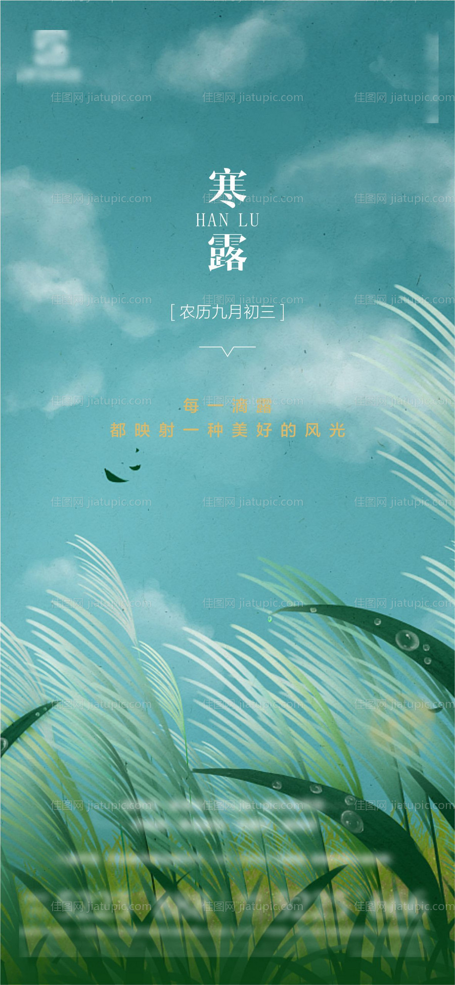 寒露海报-源文件