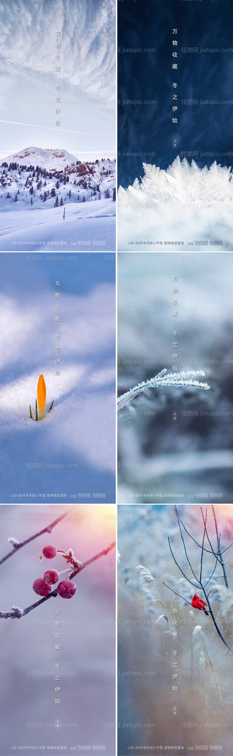 立冬海报-源文件