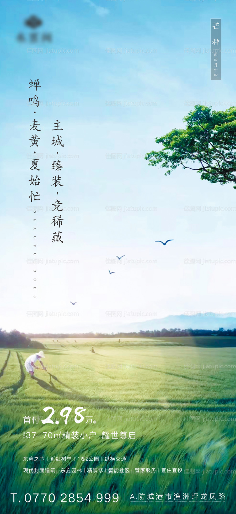 芒种手机海报-源文件