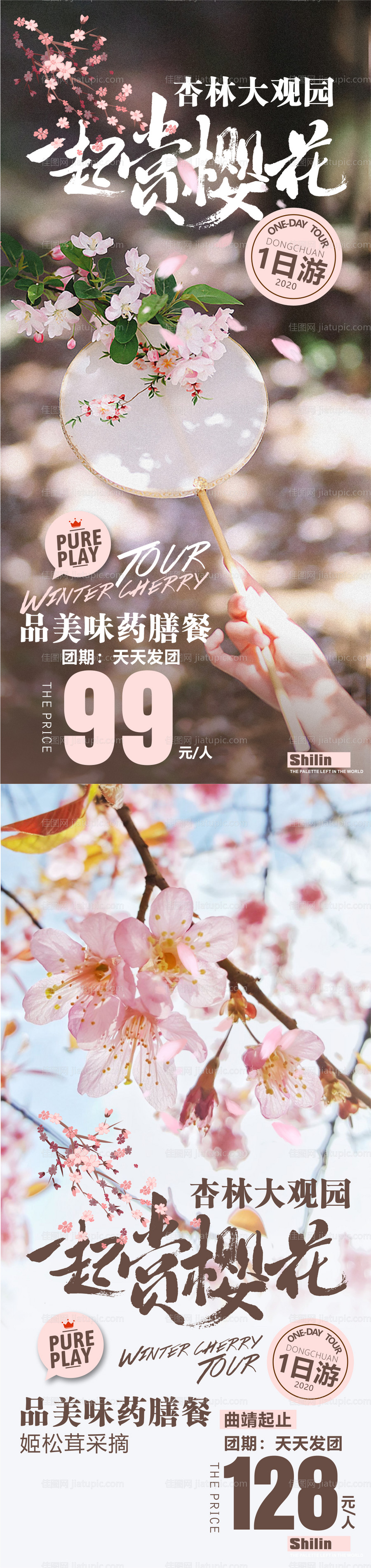 赏花旅游海报-源文件