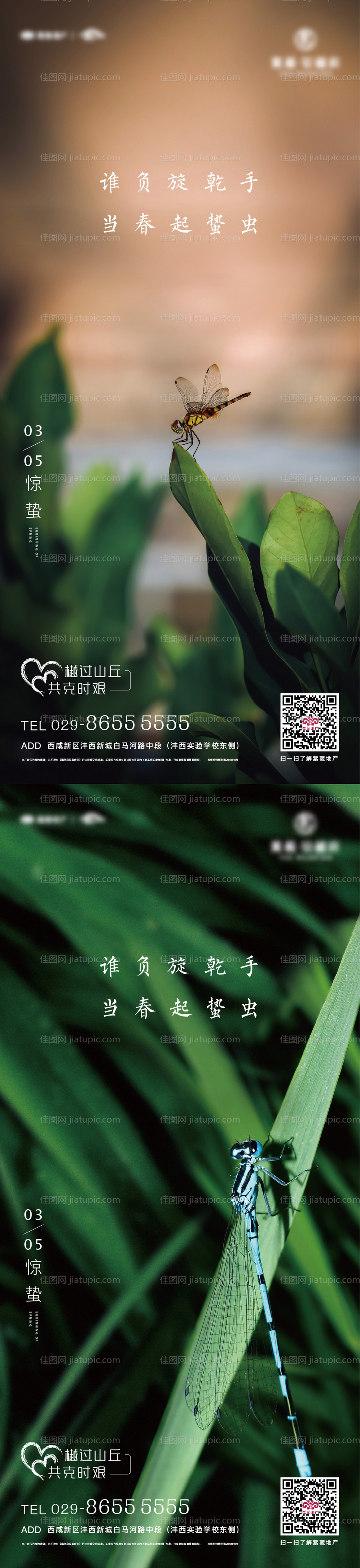 惊蛰节气系列海报-源文件