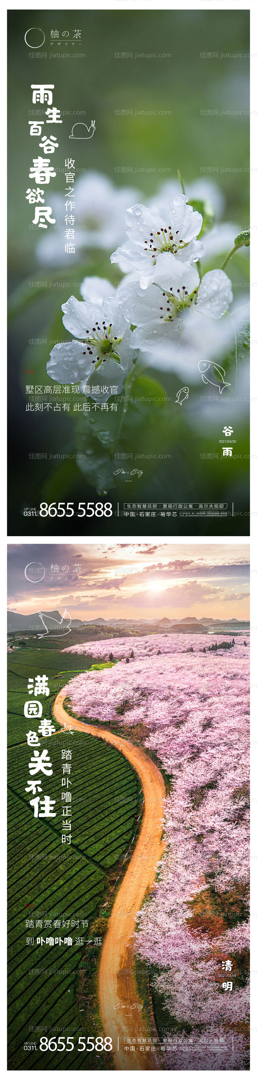 谷雨清明节气海报-源文件