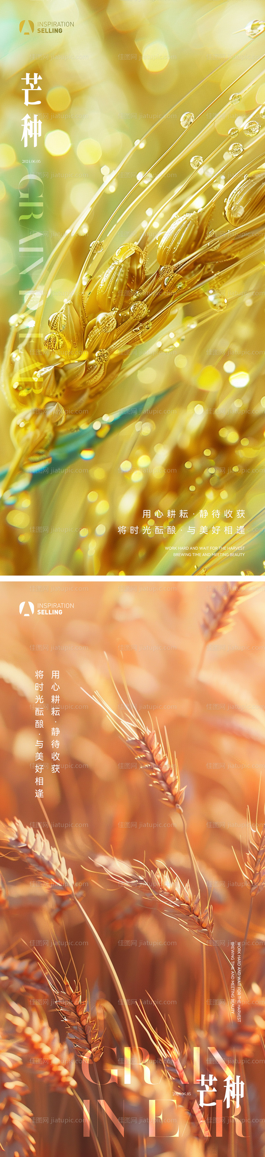 质感地产芒种微信海报 -源文件