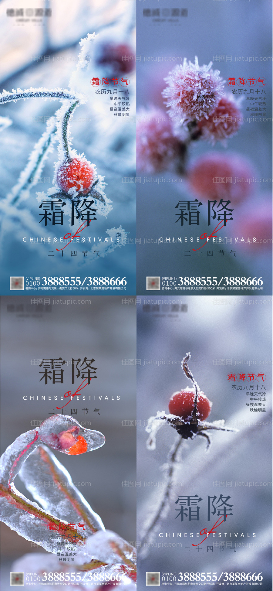 霜降系列海报-源文件