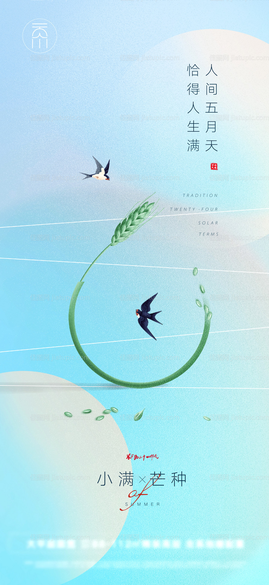 小满芒种节气简约海报-源文件