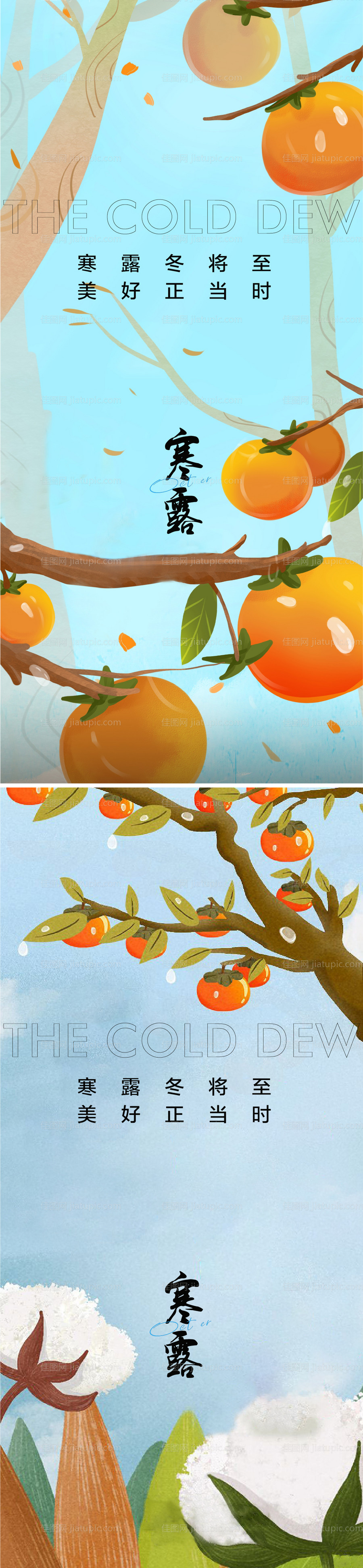 寒露海报-源文件