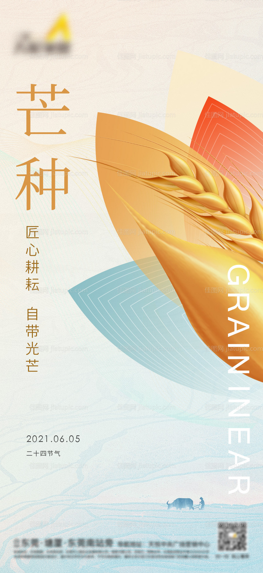 芒种节气海报-源文件