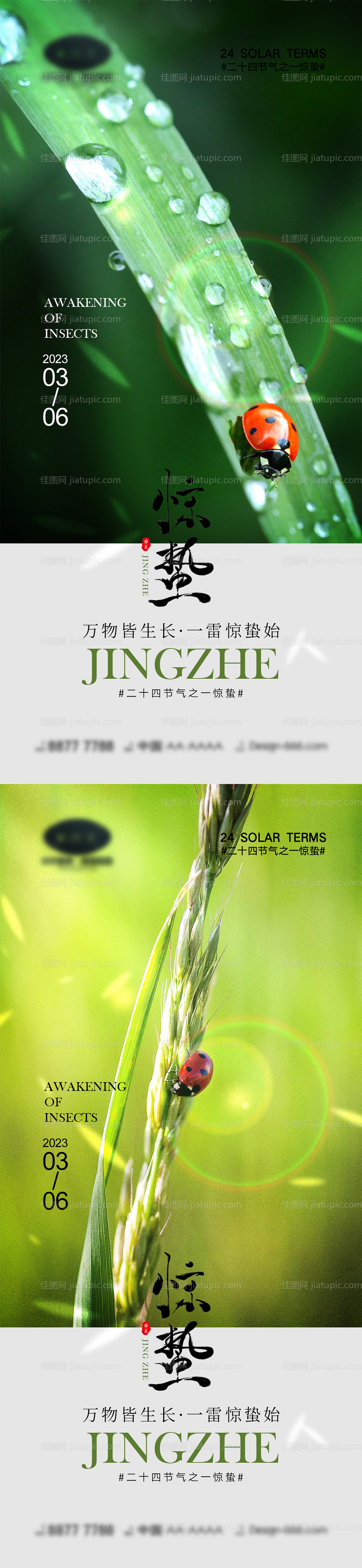 惊蛰节气海报-源文件