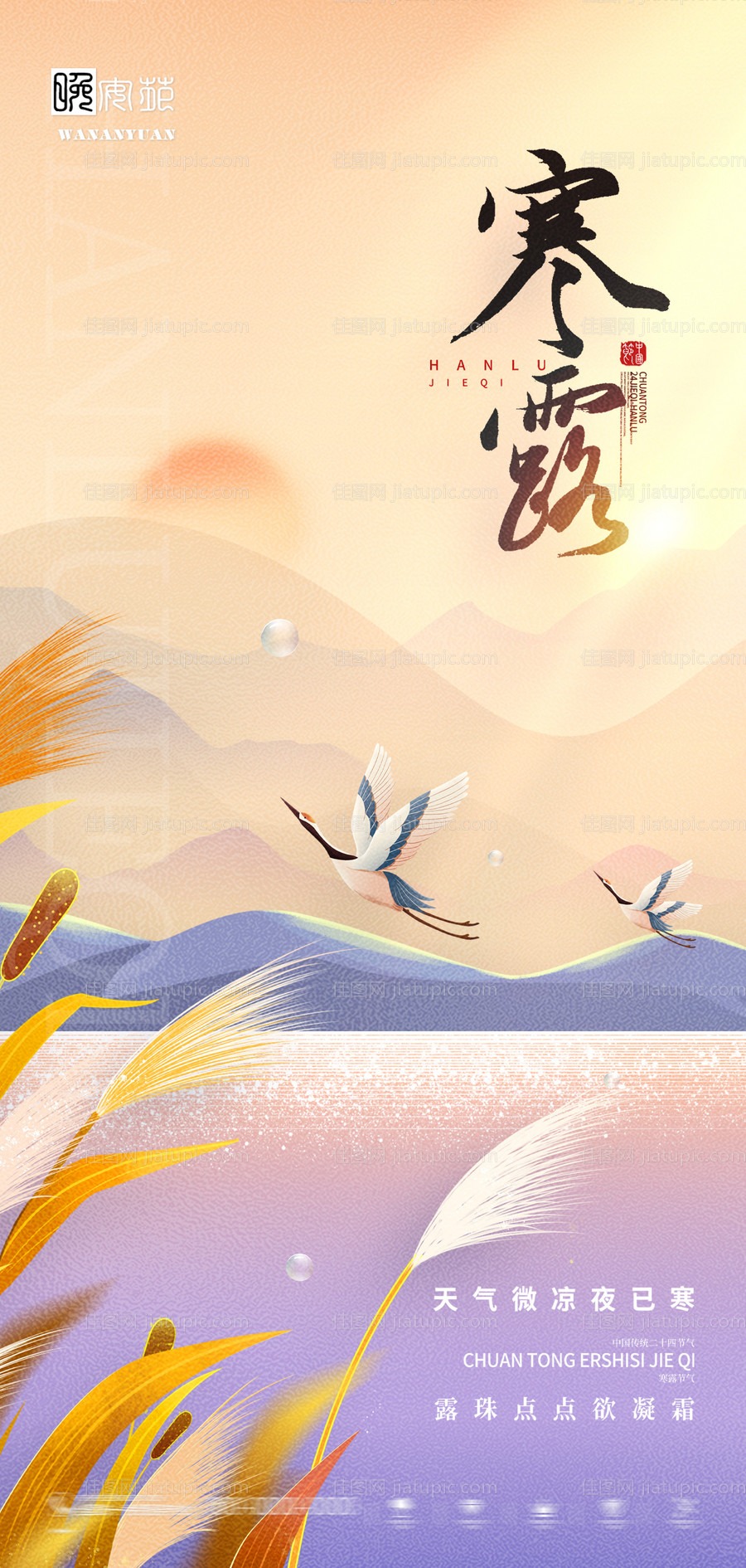 寒露地产海报-源文件