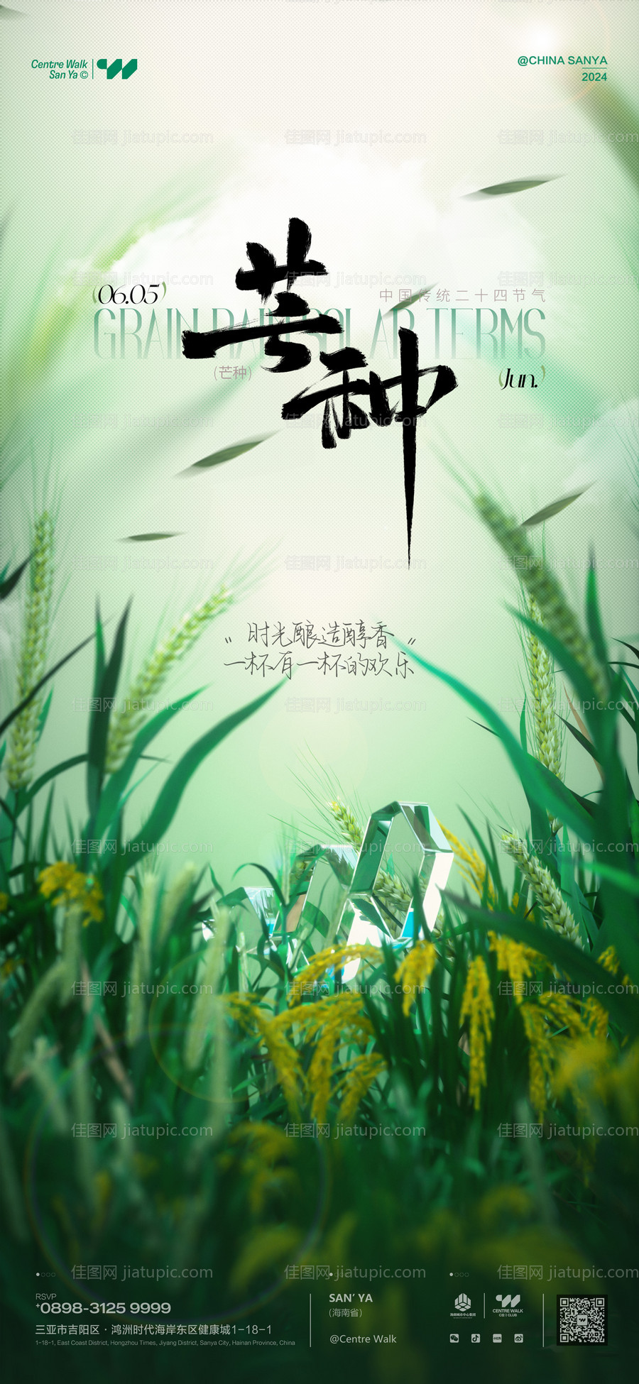 芒种海报-源文件