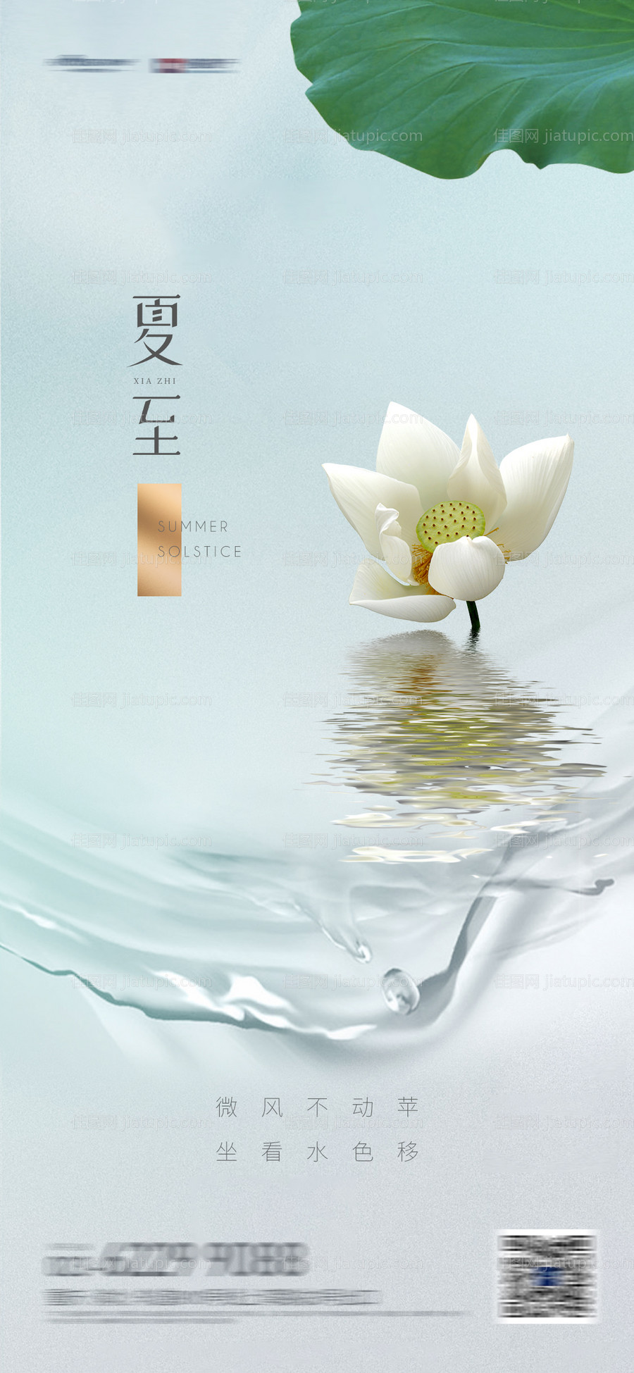 夏至节气海报-源文件