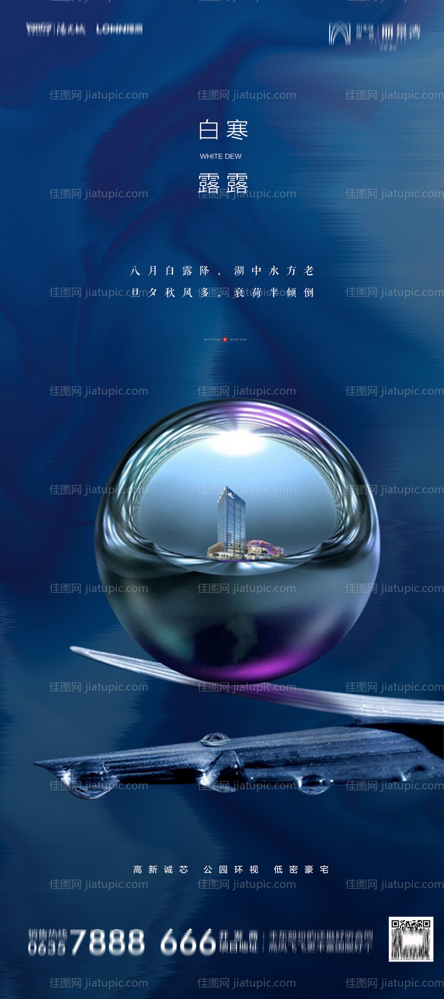 地产白露寒露海报-源文件