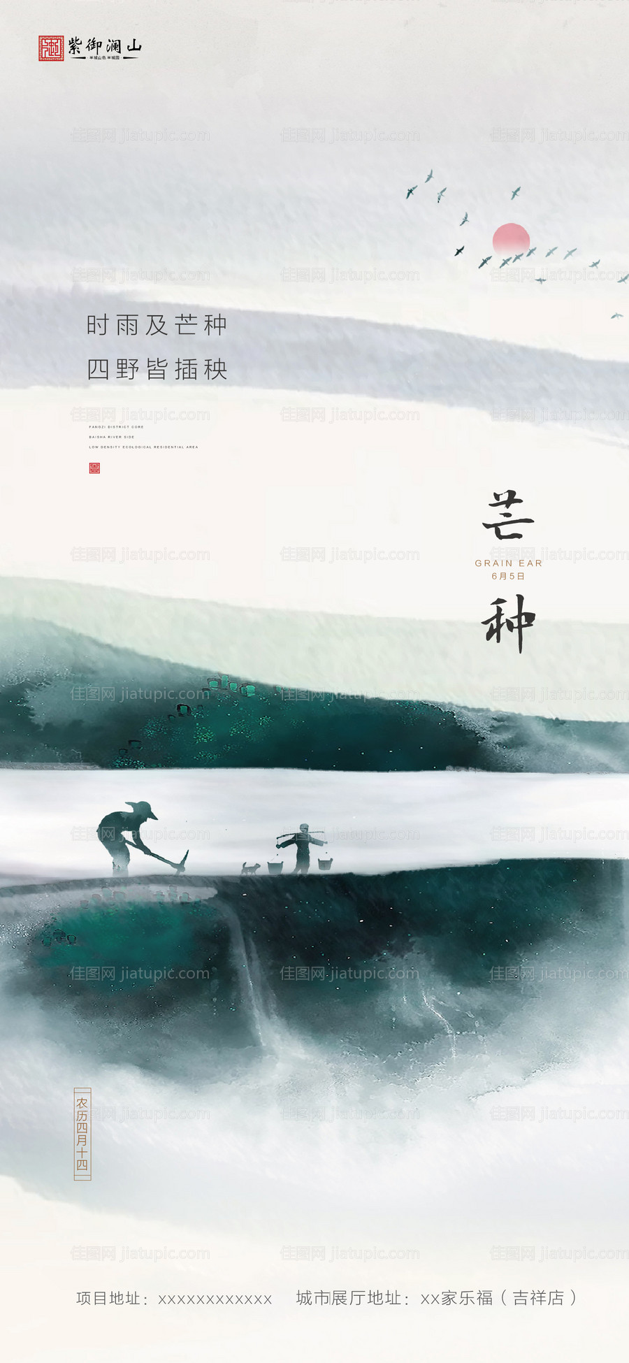 芒种节气海报-源文件