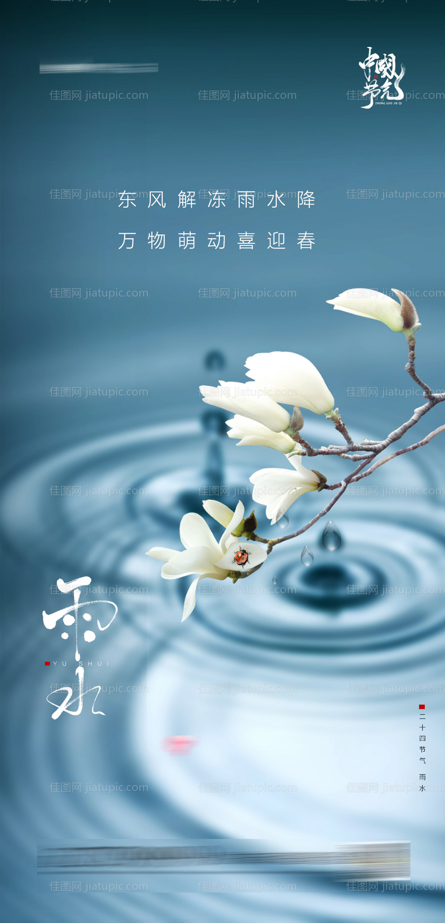 雨水节气海报-源文件