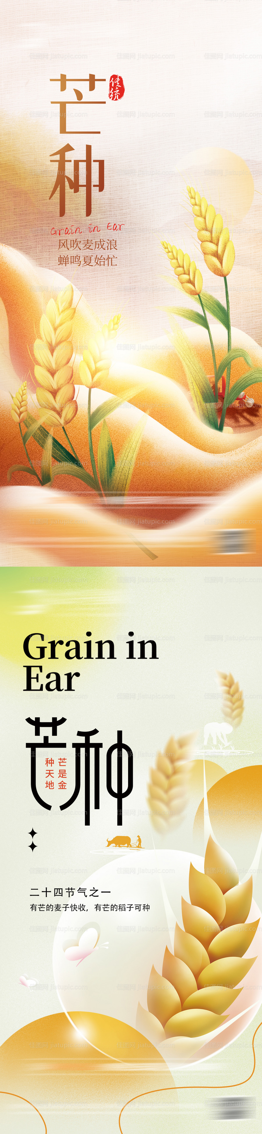 地产芒种节气系列海报-源文件