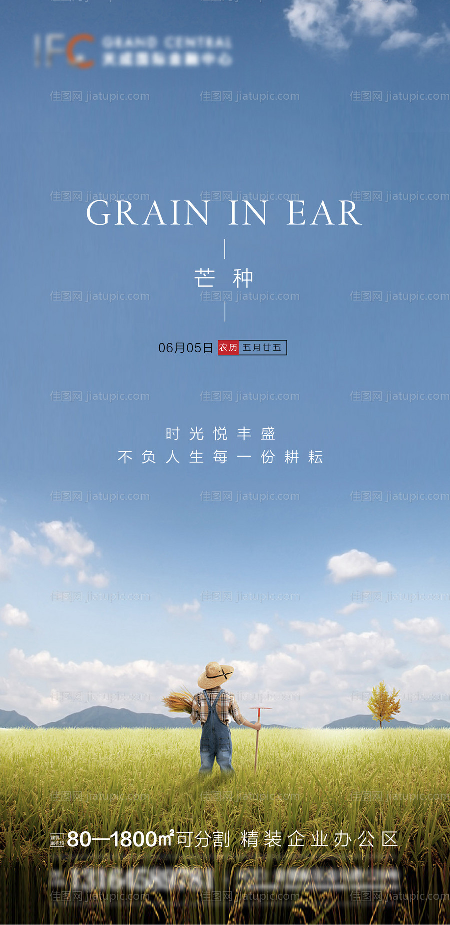 芒种海报-源文件