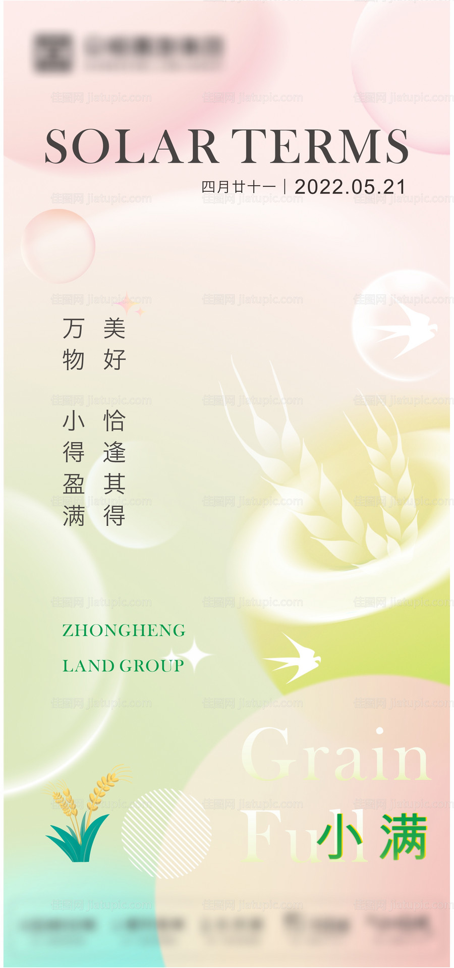 小满节气海报-源文件