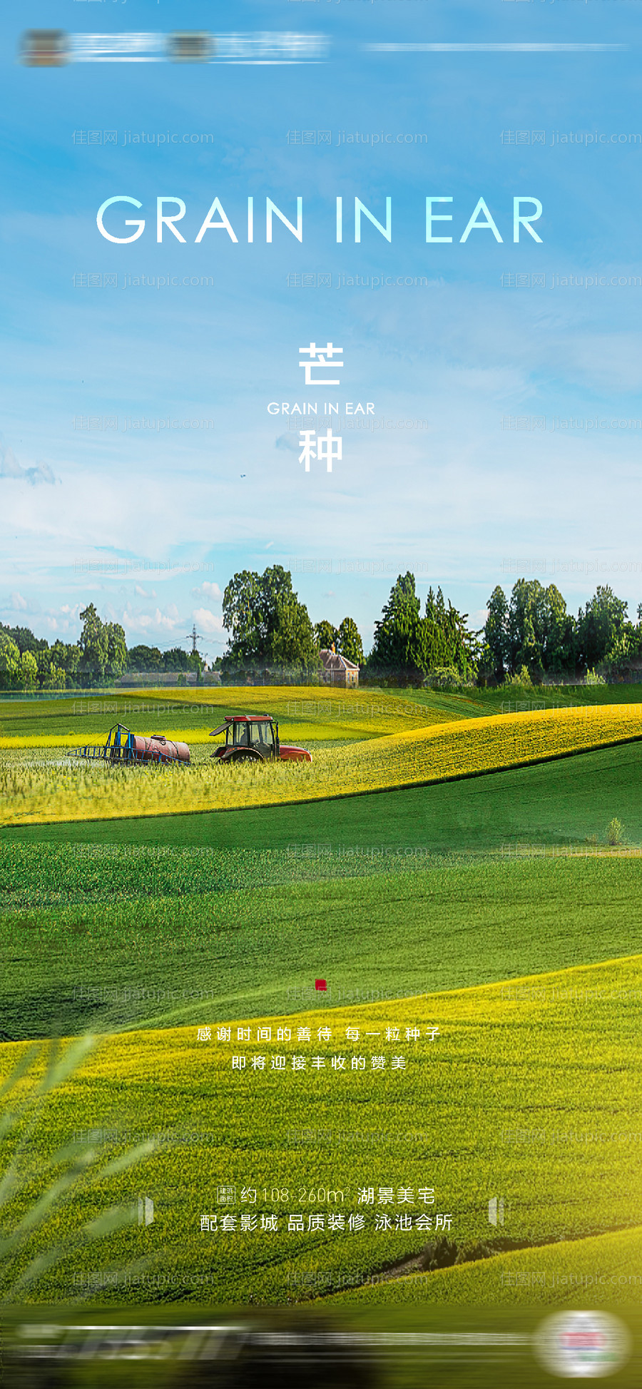 地产芒种节气海报-源文件