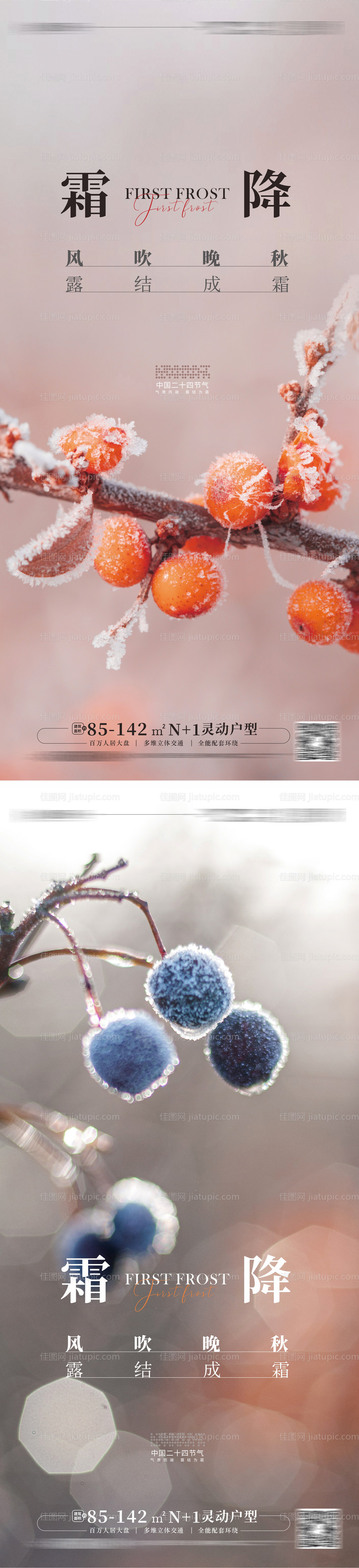 霜降海报-源文件