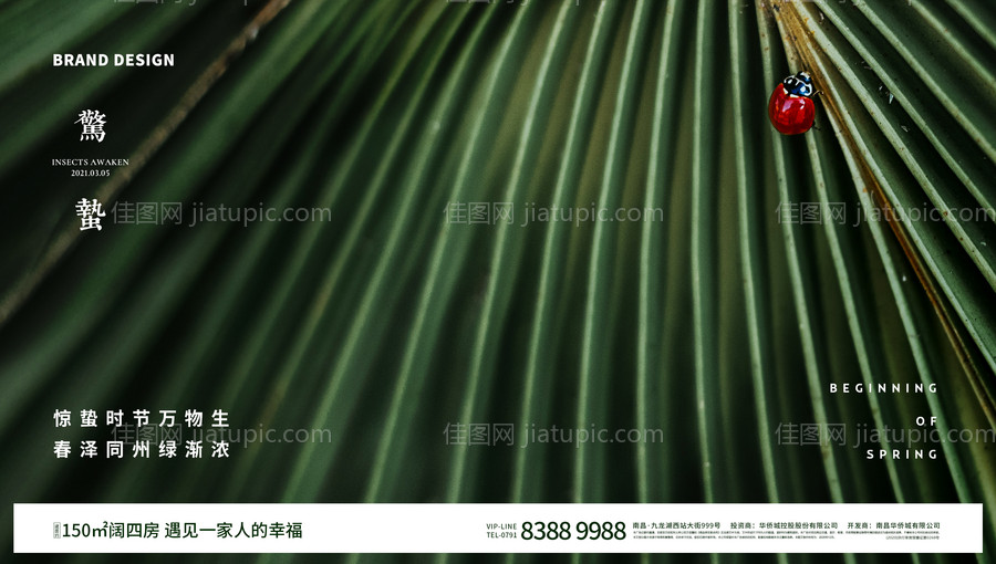 惊蛰节气微信海报-源文件