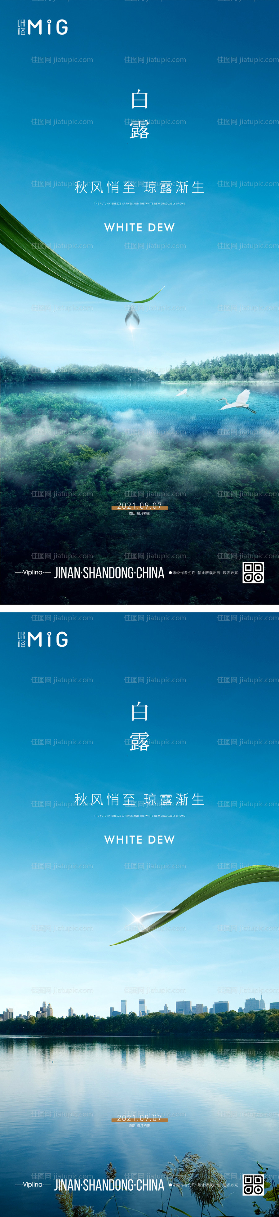 地产白露节气海报-源文件